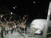 Фотография Швецова Дмитрия