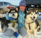 Фотография Маламут Веры