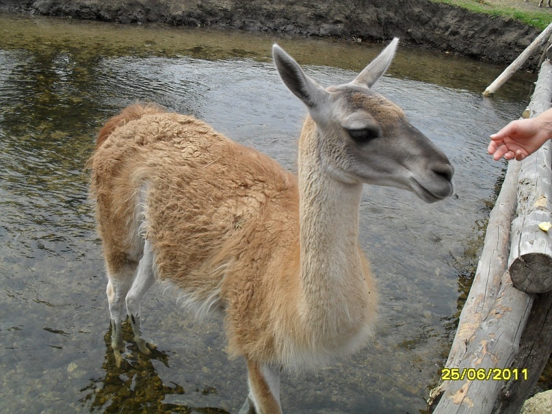 Андрей Поляков фотография #35