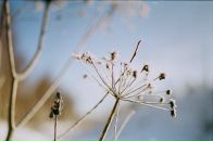 Фотография Zhdanova Alina