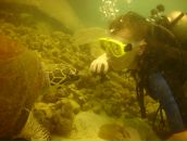 Фотография Серпова Сергея