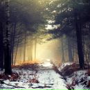 Фотография Нет Ан