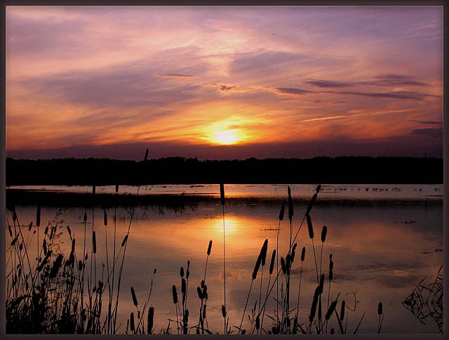 Дмитрий Тушин фотография #40