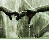 Фотография Red Nati