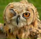 Фотография Рыкова Володи