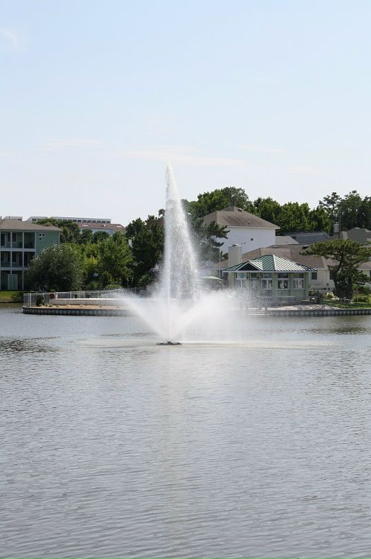 Асет Аментаев фотография #19