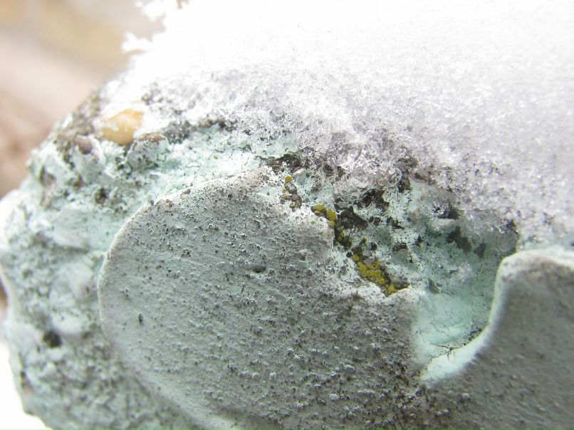 Сергей Царёв фотография #32