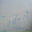 Фотография Прибыткова Ивана