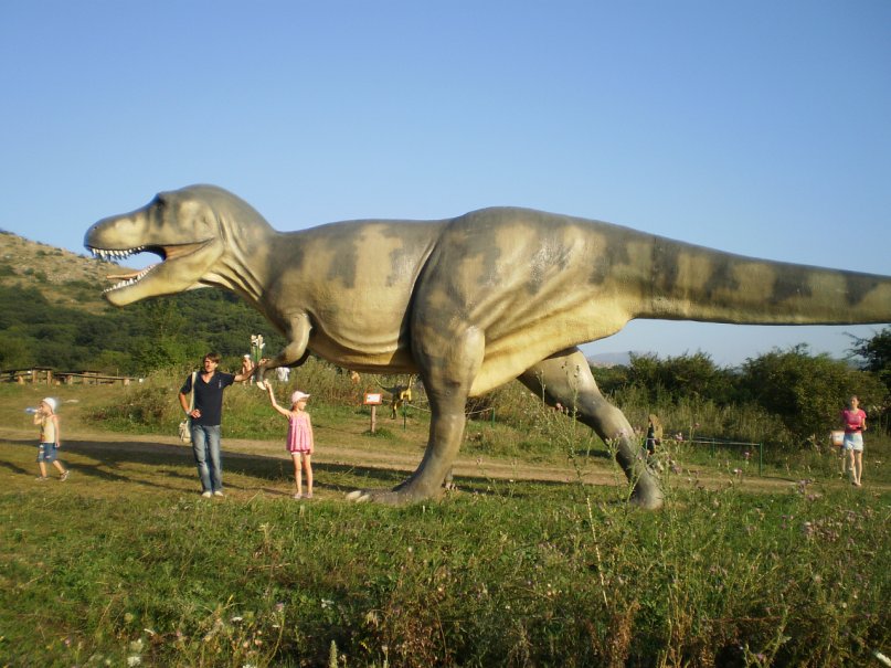 Петр Мазур фотография #46