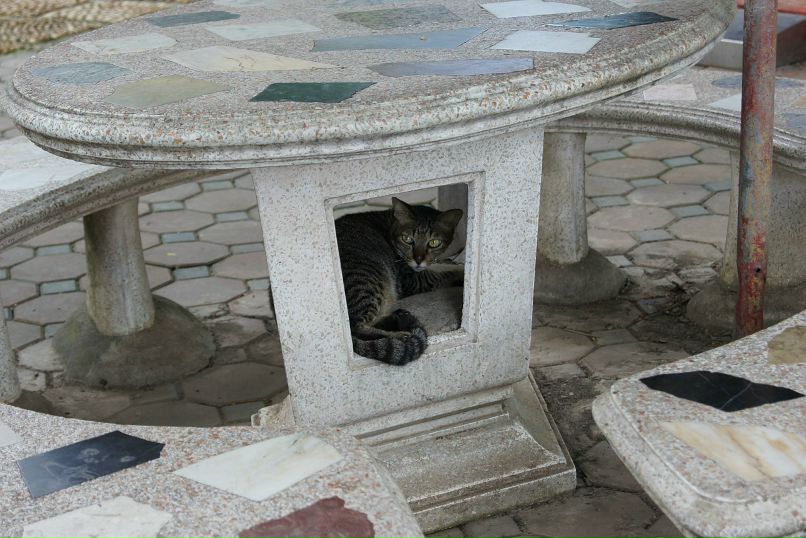 Иван Пешков фотография #34