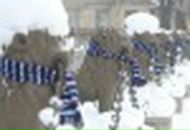 Фотография Шоколы Полины