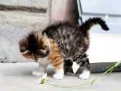 Фотография Ситниковой Yuu