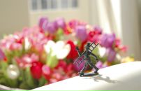 Фотография Рыжковой Екатерины