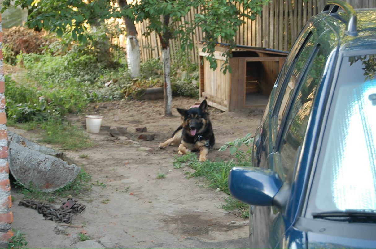 Танюфка Пятницкая фотография #13