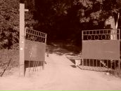 Фотография Волковой Анастасии