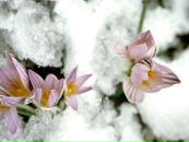 Фотография Юрьевны Нины