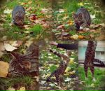 Фотография Антоновой Любови