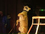 Фотография Сарбах Натальи