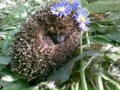 Фотография Чистяковой Натальи