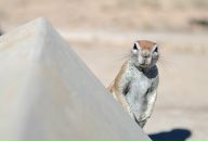 Фотография Кузнецова Дмитрия