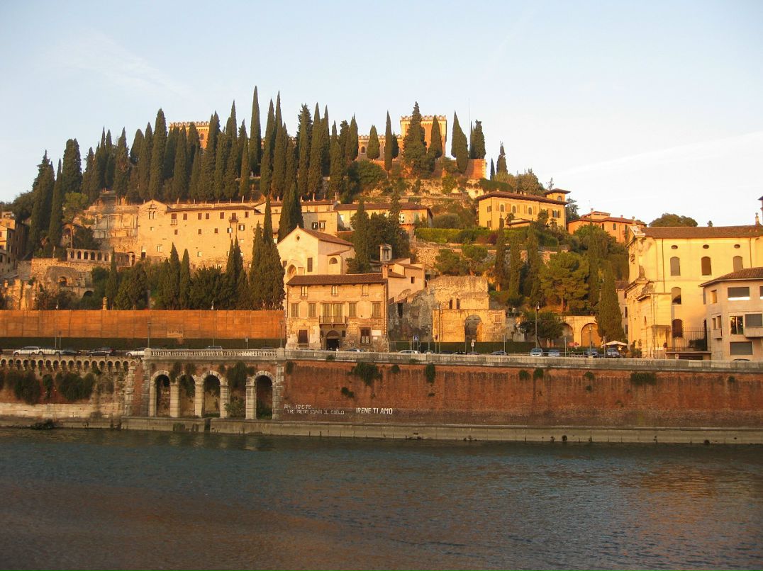 Al Ex фотография #44