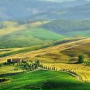 Фотография Чернышевой Александры