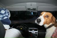 Фотография Холопова Игоря