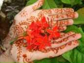 Фотография Дегтярёвой Натальи