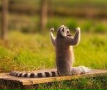 Фотография Евсеева Макса