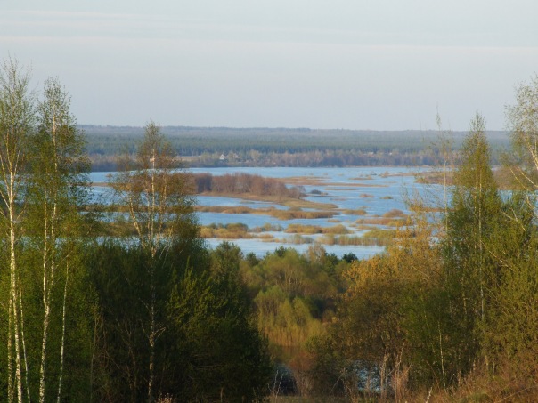 Дмитрий Cеребряков фото №19