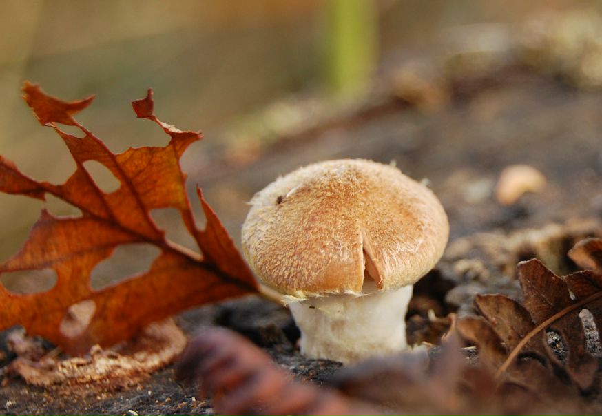 Михаил Яковлев фото №11