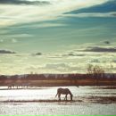 Фотография Алякиной Инны