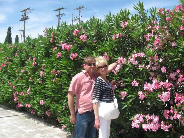 №11, Вальтер Сурмий №11, Вальтер Сурмий