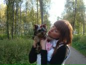 Фотография  