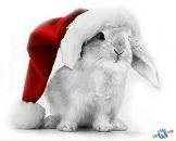 Фотография Володько Алёны