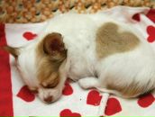 Фотография Арсентьевой Надежды