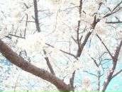 Фотография Тулаиновой Елены