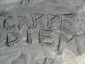 Дмитрий Матвеенко фотография #19 (источник - https://vk.com/id436376)