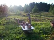 Фотография  