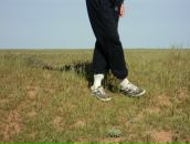 Сергей Джаваев фотография #23 (источник - https://vk.com/id797383)