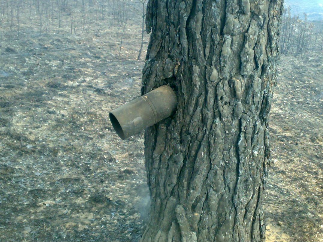 Виктор Корешков фотография #50