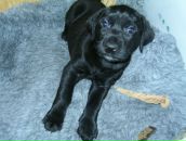 Фотография Юрича Сергея