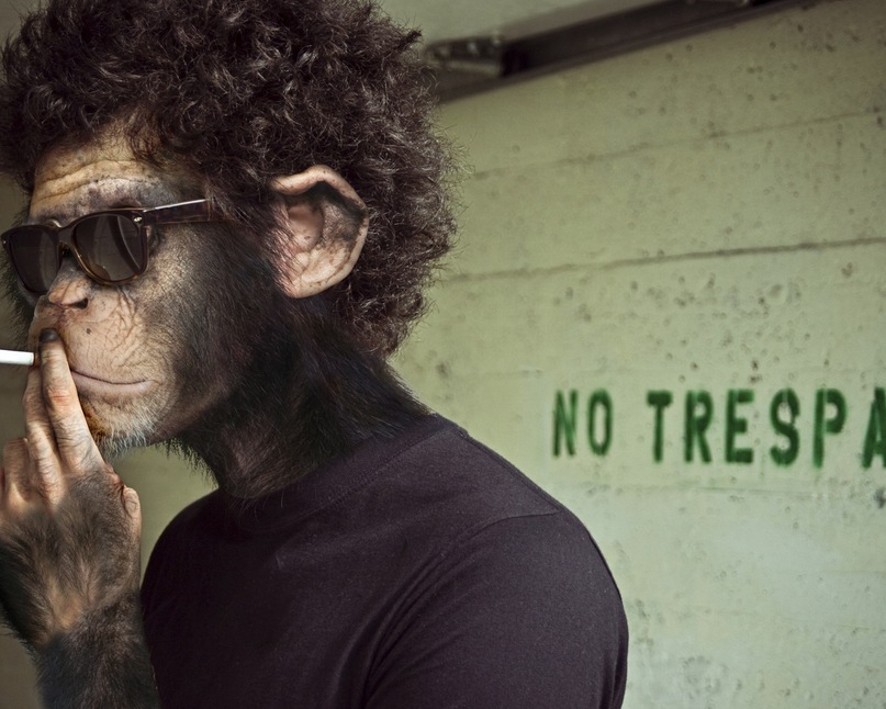 Александр Волков фотография #5