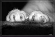 Фотография Хмелевой-Кравченко Анюты