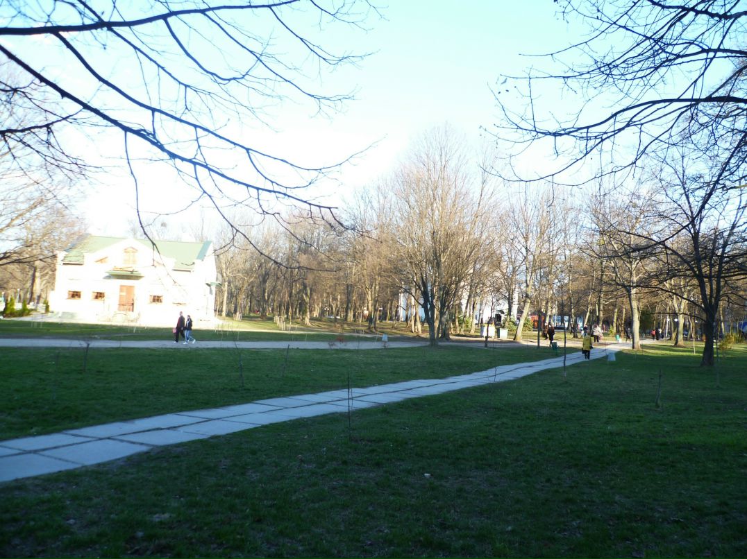 Dragon Fly фотография #13