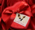 Фотография Тонких Вероники