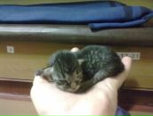 Дмитрий Бункин фотография #39 (источник - https://vk.com/id44326398)