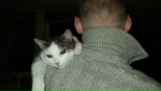 Фотография Михайлова Павла