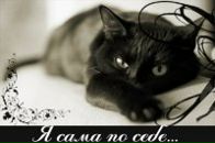 Фотография Crazycat Nadin