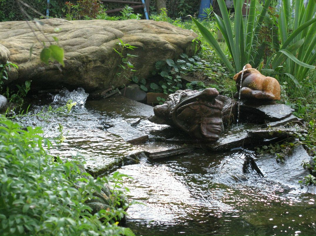 Дмитрий Ермилов фотография #7